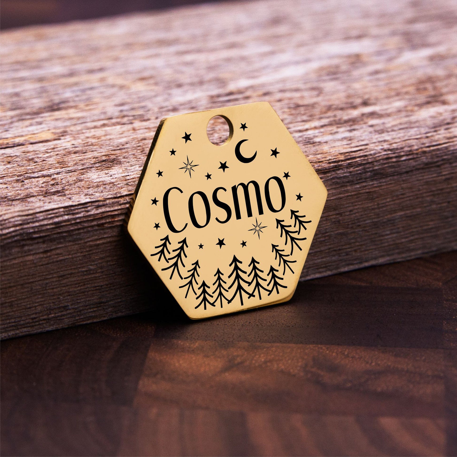 Personalized pet cat ID tag - close-up of the custom engraving
