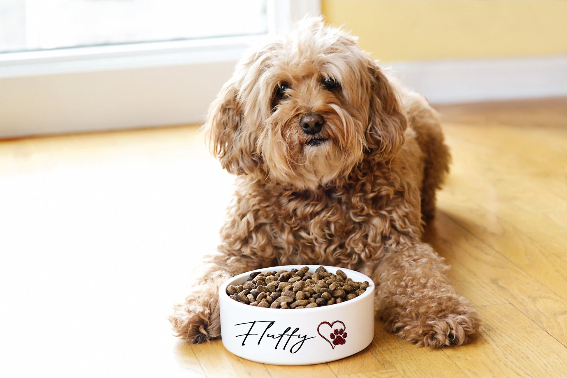Personalized Pet Bowl - personalized engraved gift, family-made in Long Island