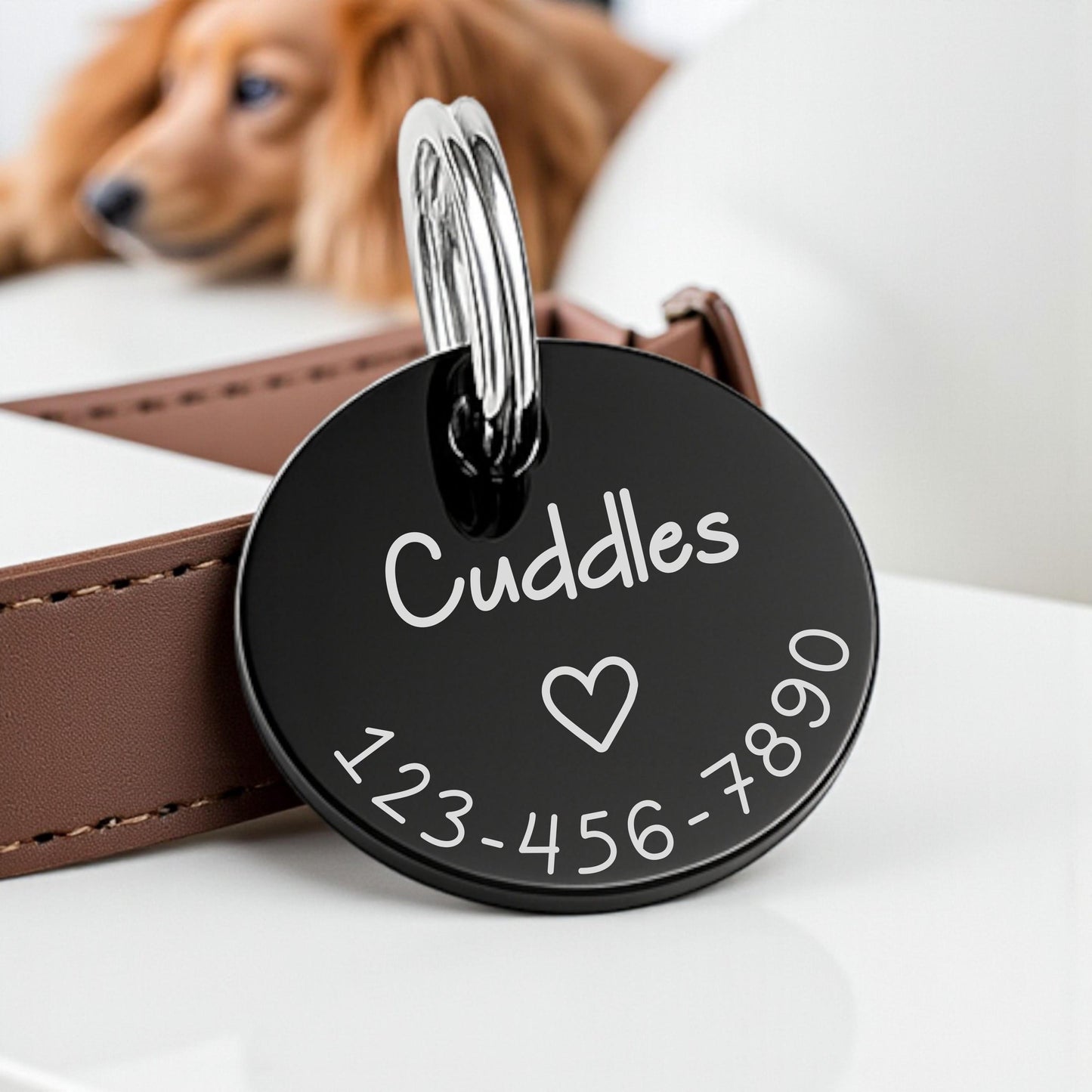 Personalized Pet Tag - personalization example