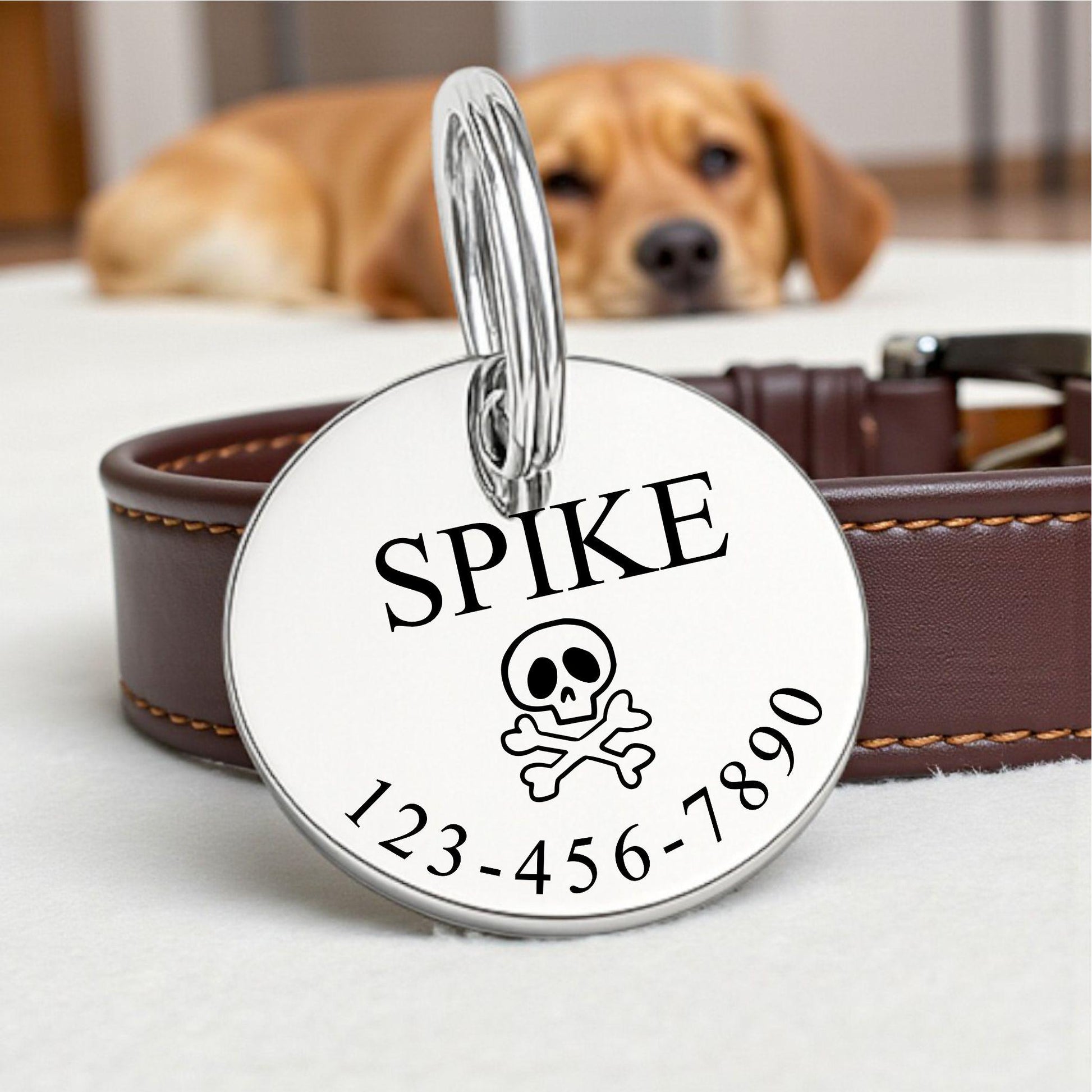Personalized Pet Tag - a thoughtful custom gift