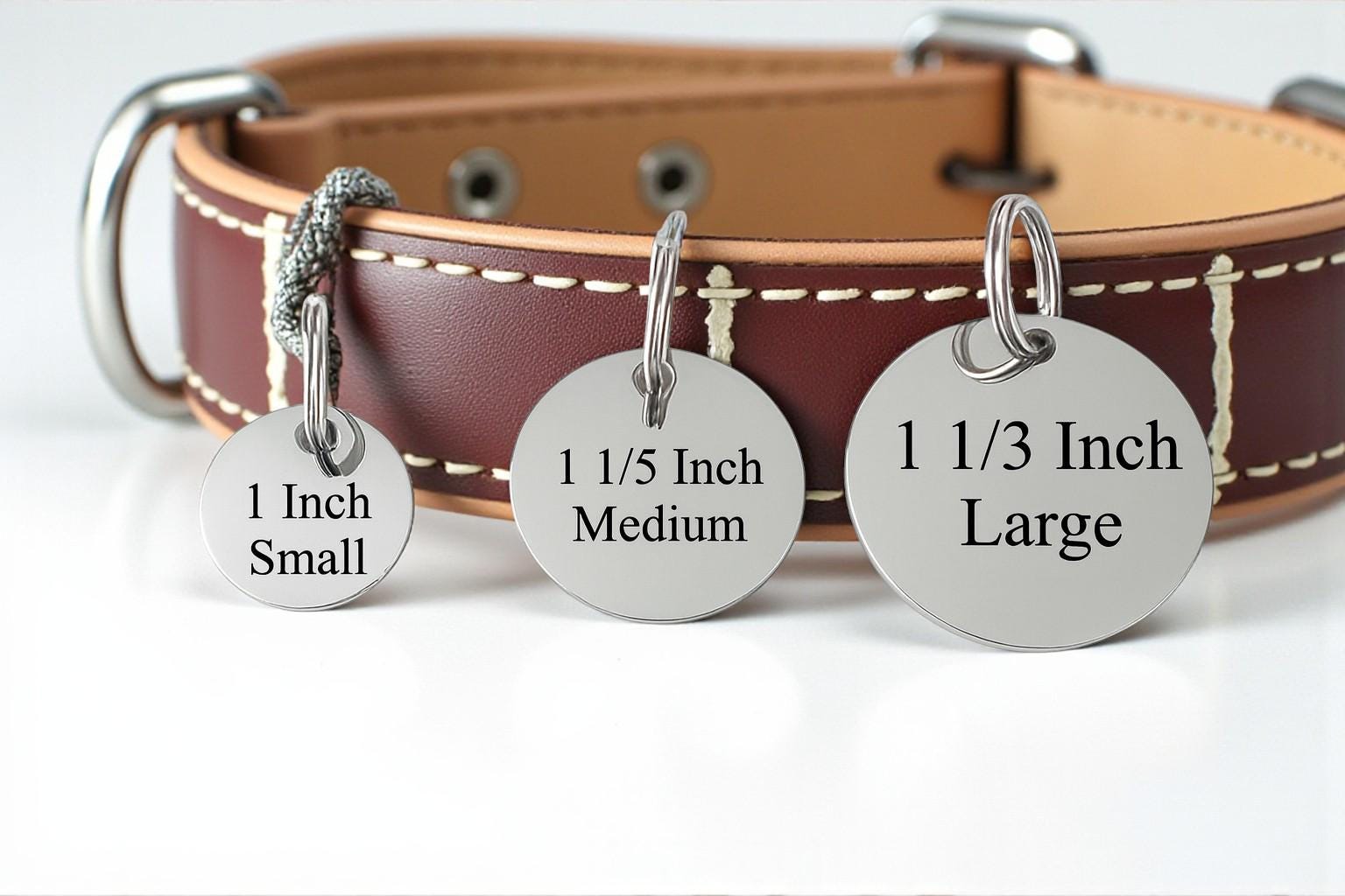 Personalized Dog ID Tag - personalization example