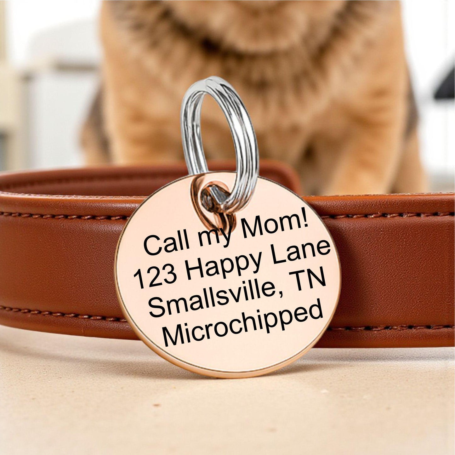 Personalized Pet Tag - close-up of the custom engraving