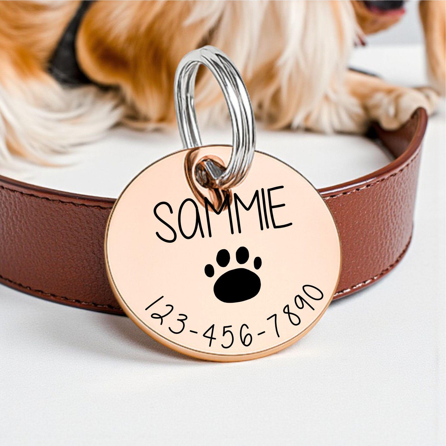 Personalized Dog ID Tag - close-up of the custom engraving