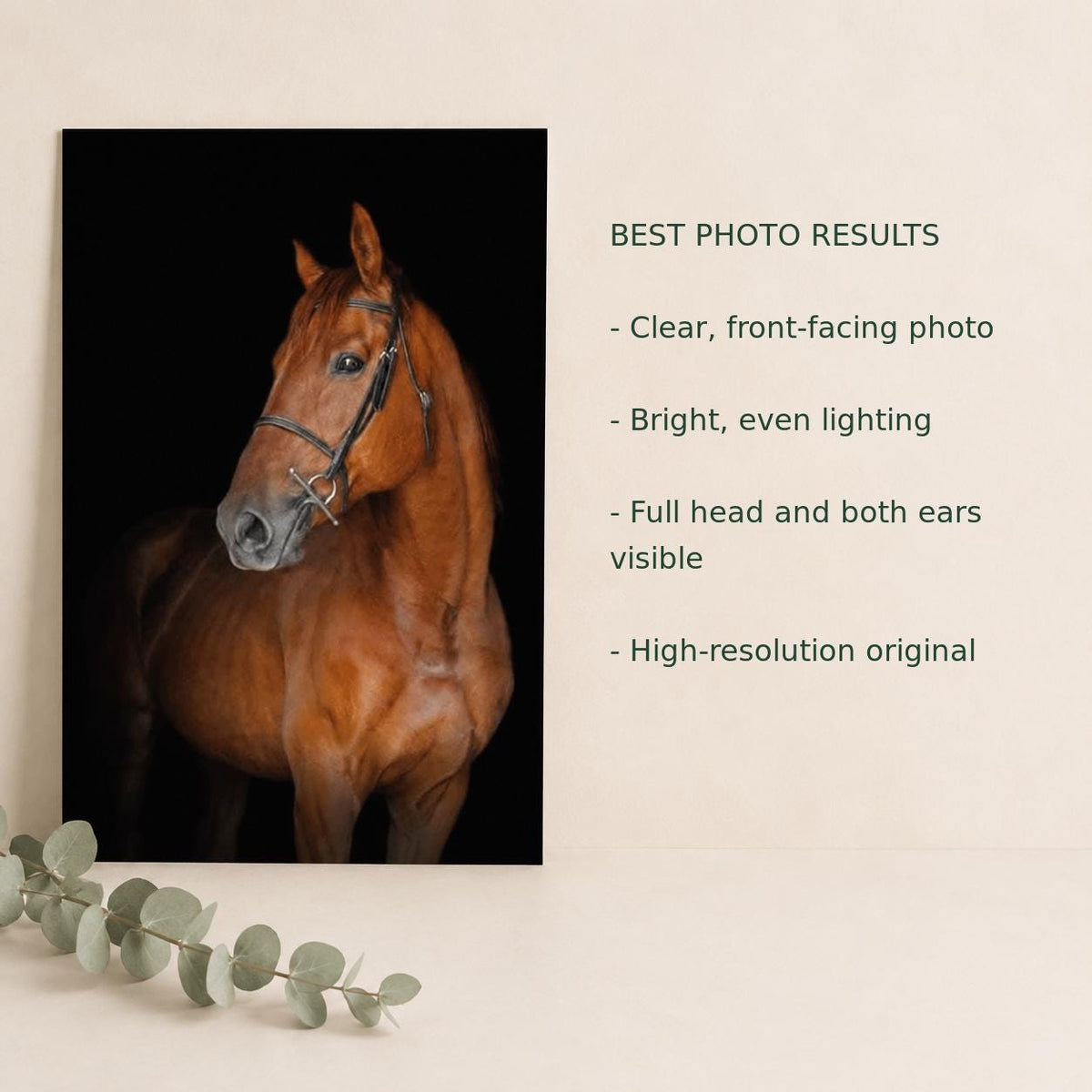 Personalized Horse Portrait Christmas Ornament