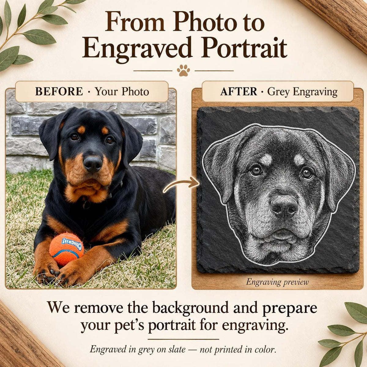 Before and after: a pet photo turned into a grey engraved portrait on slate