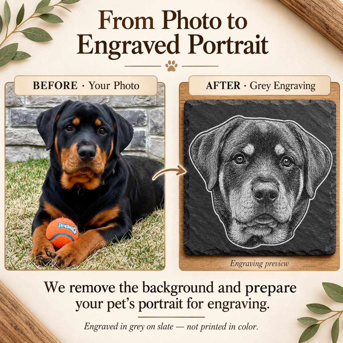 Before and after: a pet photo turned into a grey engraved portrait on slate